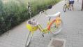 Cos oval galben cu husa - CB46-cos oval galben de bicicleta cu husa